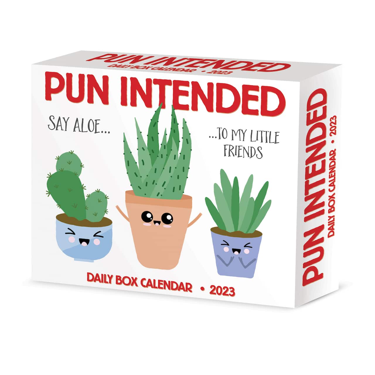 Pun Intended 2025 Box Calendar